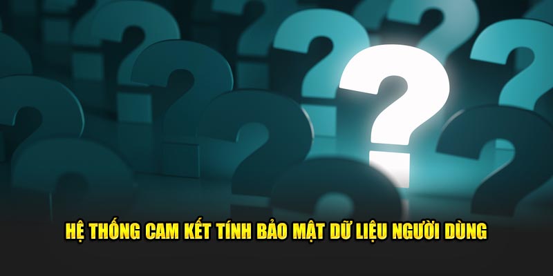 Hệ thống cam kết tính bảo mật dữ liệu người dùng 